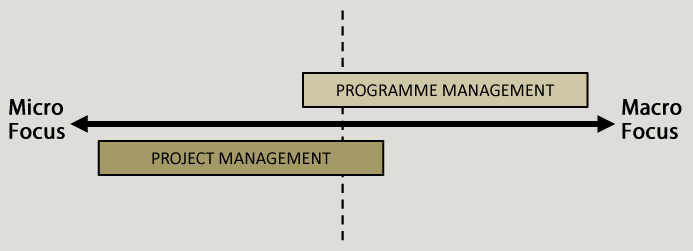 Project Vs Programme Management